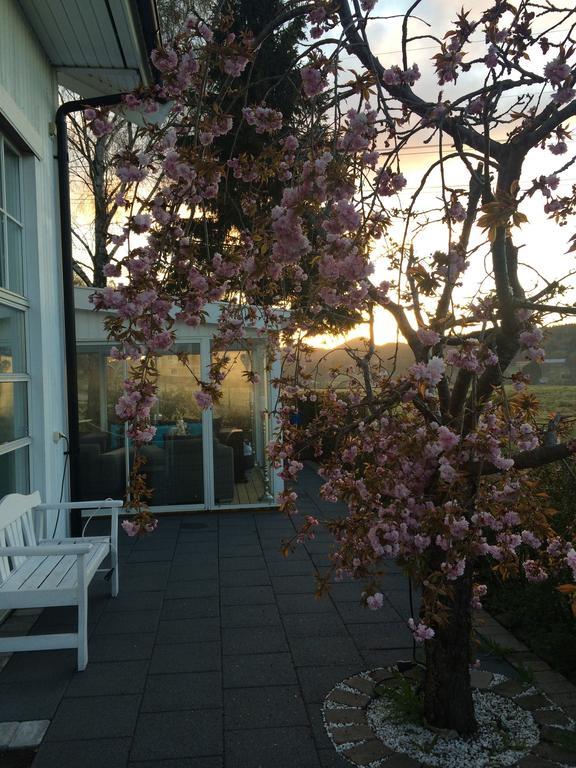 Café Torpet B&B Skepplanda Buitenkant foto